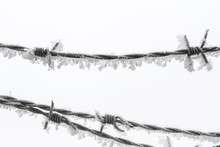  Barbed Wire Fence Detail With Snow