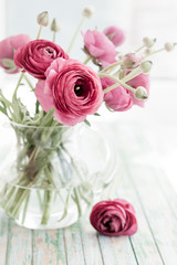 Poster - Fresh ranunculus