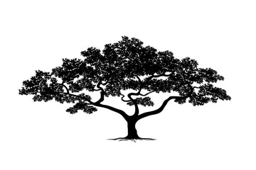 silhouette tree set