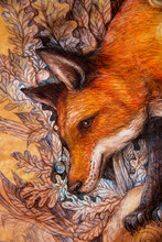 Red Fox Portrait, Colorful Painting With Ornamental Background.