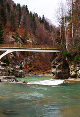 Canvas Print - Mountain river flowing through autumn forest