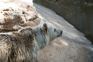 Visit to Safari Ramat Gan