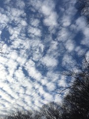 cirrocumulus clouds in winter sky at dusk