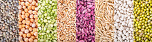 Collage Of Various Cereals, Seeds, Beans And Grains