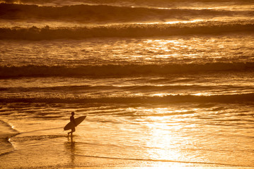 Wall Mural - silhouette of a surfer at sunset on the atlantic ocean, lacanau france