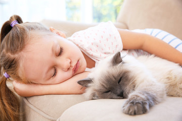 Sticker - Cute little girl sleeping on sofa with fluffy cat