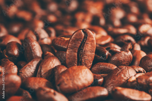 Fotomural roasted coffee beans, can be used as a background
