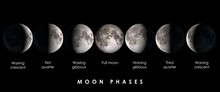 Moon Phases With Text, Elements Of This Image Are Provided By NASA