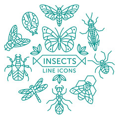 Wall Mural - Insects line icons