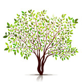 Fototapeta Panele - Green tree with leaves on white background vector