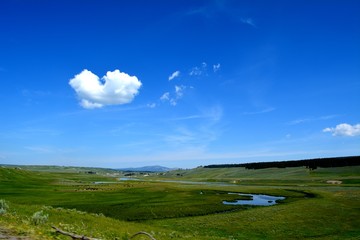 Open green field