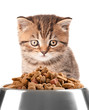 Cute kitten and bowl with dry food on white background