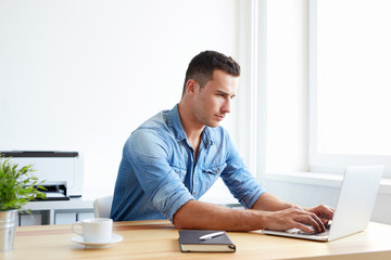 Wall Mural - Man working with notebook in the office