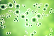 Leinwandbild Motiv Green cell background. Life and biology, medicine scientific, molecular research dna. 3d rendering