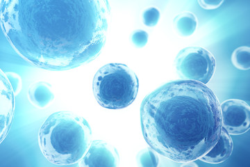 Wall Mural - Human or animal cells on blue background. Medicine scientific concept. 3d rendering
