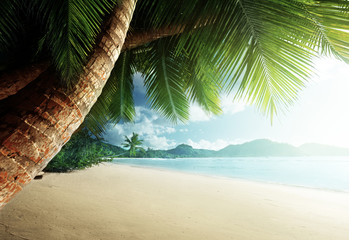 Plakat wyspa raj tropikalny