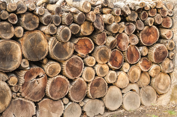 Wall Mural - Well arranged cut dry oak firewood closeup aa background