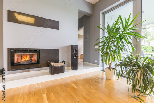 Fotografía Modern fireplace in villa interior