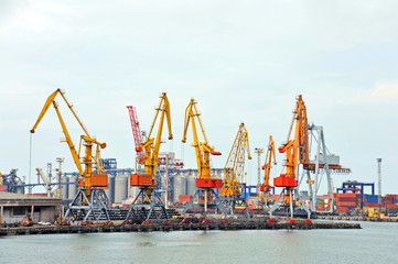 Port cargo crane and container