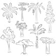 Hand Drawn Set of Trees. Doodle Drawings of Palms, Sequoia, Aloe, Acacia, Ceiba  in Sketch Style. Vector Illustration.