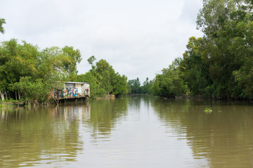 Wall Mural - River scenery in Mekong delta, Vietnam