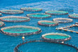 Fish farm in the sea. View from mountain. Floating fish farm and breeding fry in trays grids. Corfu island (Kerkyra). Sidari region. Greece
