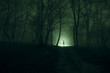 © zef art - Alone girl with the light in the forest at night, or blue toned