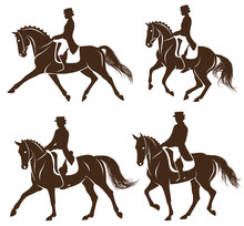 Set Of Dressage Horses With Rider