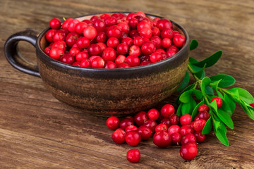 Canvas Print - Ripe lingonberries cranberries cup close-up