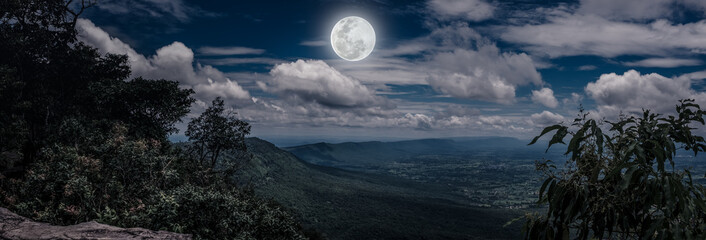 Wall Mural - panorama of tree and boulders against nighttime sky with cloudy.