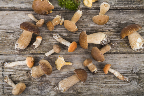 Fényképezés Raw mushrooms on a wooden table. Boletus edulis and chanterelles