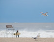 Surfer and seagulls at Rockaway