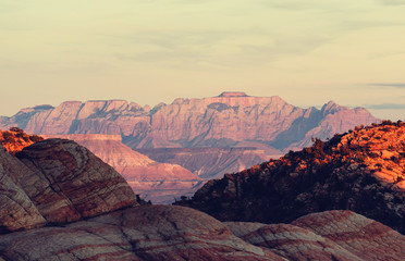 Wall Mural - Zion at sunset