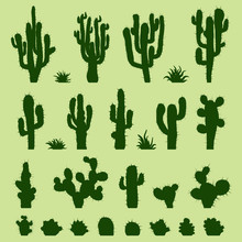 Set Of Green Cacti