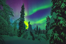 Nothern Lights Over Lapland
