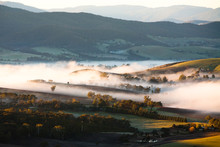 Yarra Valley Fog At Sunrise