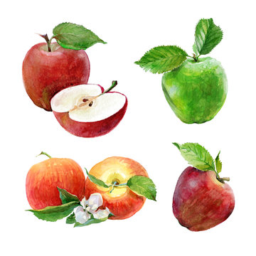 set of watercolor green and red apples on a white background. sliced fruit. peeled half apple. red a