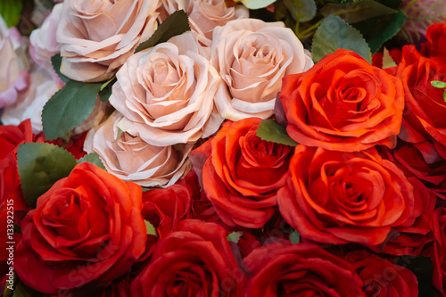 Fabric Pink and red roses