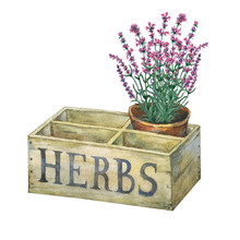 Flower Pot With Lavender In An Old Wooden Crate Garden. Hand Drawn Watercolor Painting On White Background.