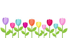 Vector Card Template With Bright Tulip Flowers