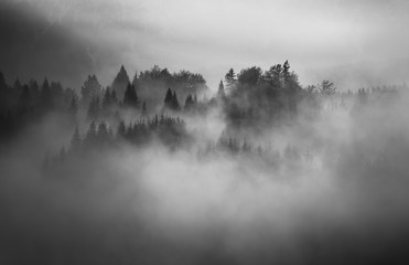 black and white landscape