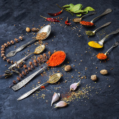 Wall Mural - banner with hot spices
