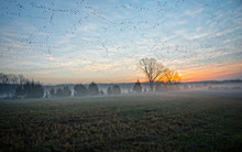 Sunrise Near Jonesboro, Arkansas With Low Fog And Flocks Of Geese 