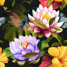 Water Lily, Lotus Flowers, Roses With Dragonfly On Black. Seamless Background Pattern. Hand Drawn Elements. Vector - Stock.