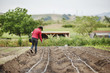 © Cavan Images - Rear view of female farmer sowing seeds on farm