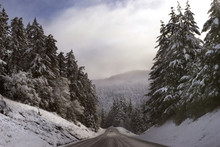 Road Amidst Snow Covered Pine Trees Against Sky