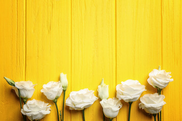 Sticker - Eustoma on yellow wooden background