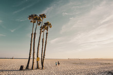 People Walking By Palm Trees On Beach Against Sky