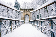 Bridge In Winter