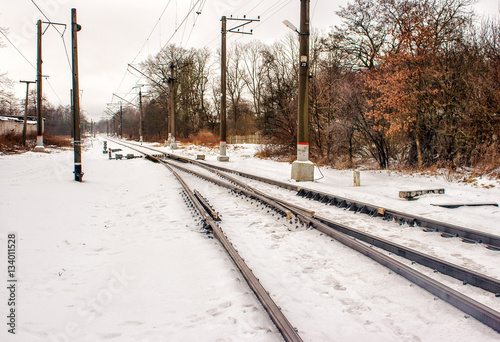 Fotografia, Obraz railway receding into the distance in the winter
